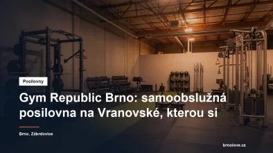 Prostorná silová posilovna s rackem, stojany jednoruček a kobercem na tažení sání