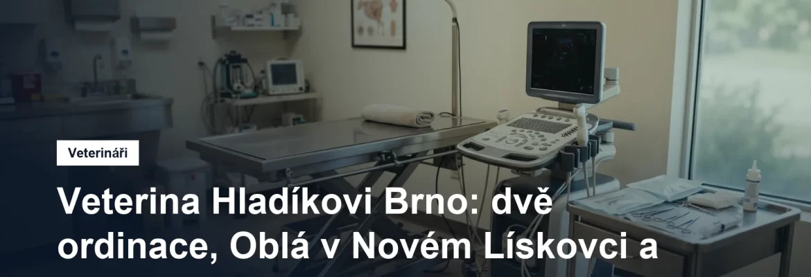 Veterinární lékař vyšetřuje psa na ošetřovacím stole v ordinaci