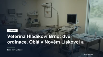 Veterinární lékař vyšetřuje psa na ošetřovacím stole v ordinaci