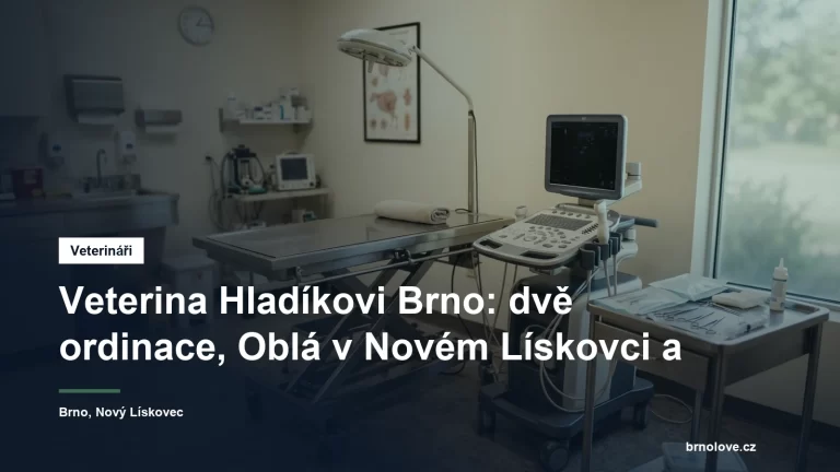 Veterinární lékař vyšetřuje psa na ošetřovacím stole v ordinaci