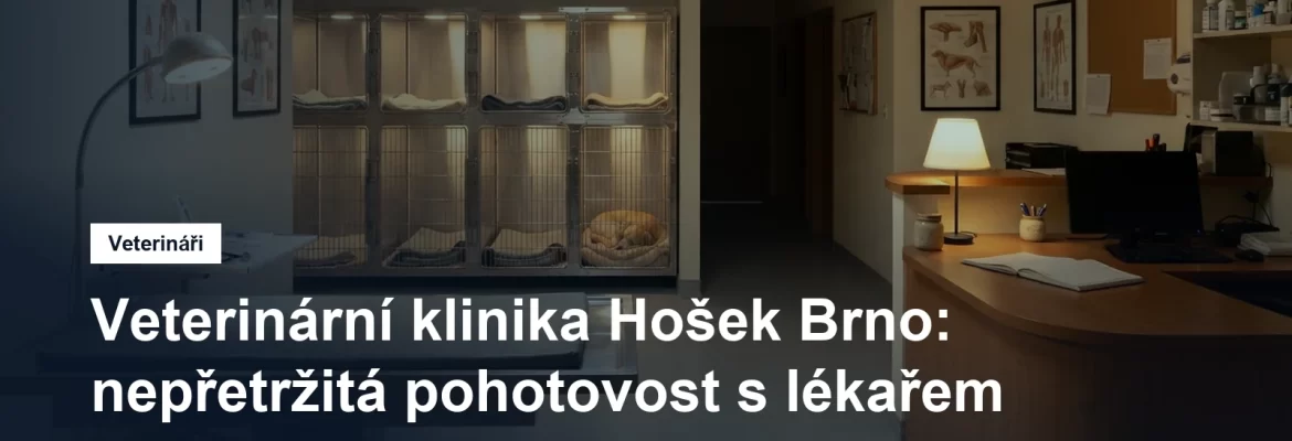 Recepce veterinární kliniky s nočním osvětlením a hospitalizačními boxy v pozadí
