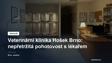 Recepce veterinární kliniky s nočním osvětlením a hospitalizačními boxy v pozadí