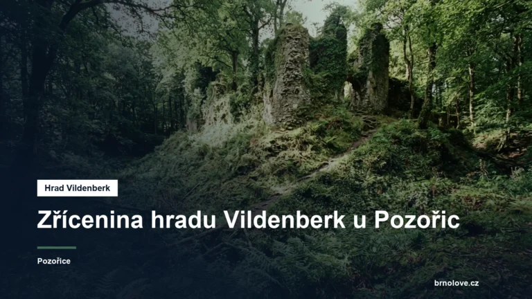 Terénní pozůstatky hradu v lese