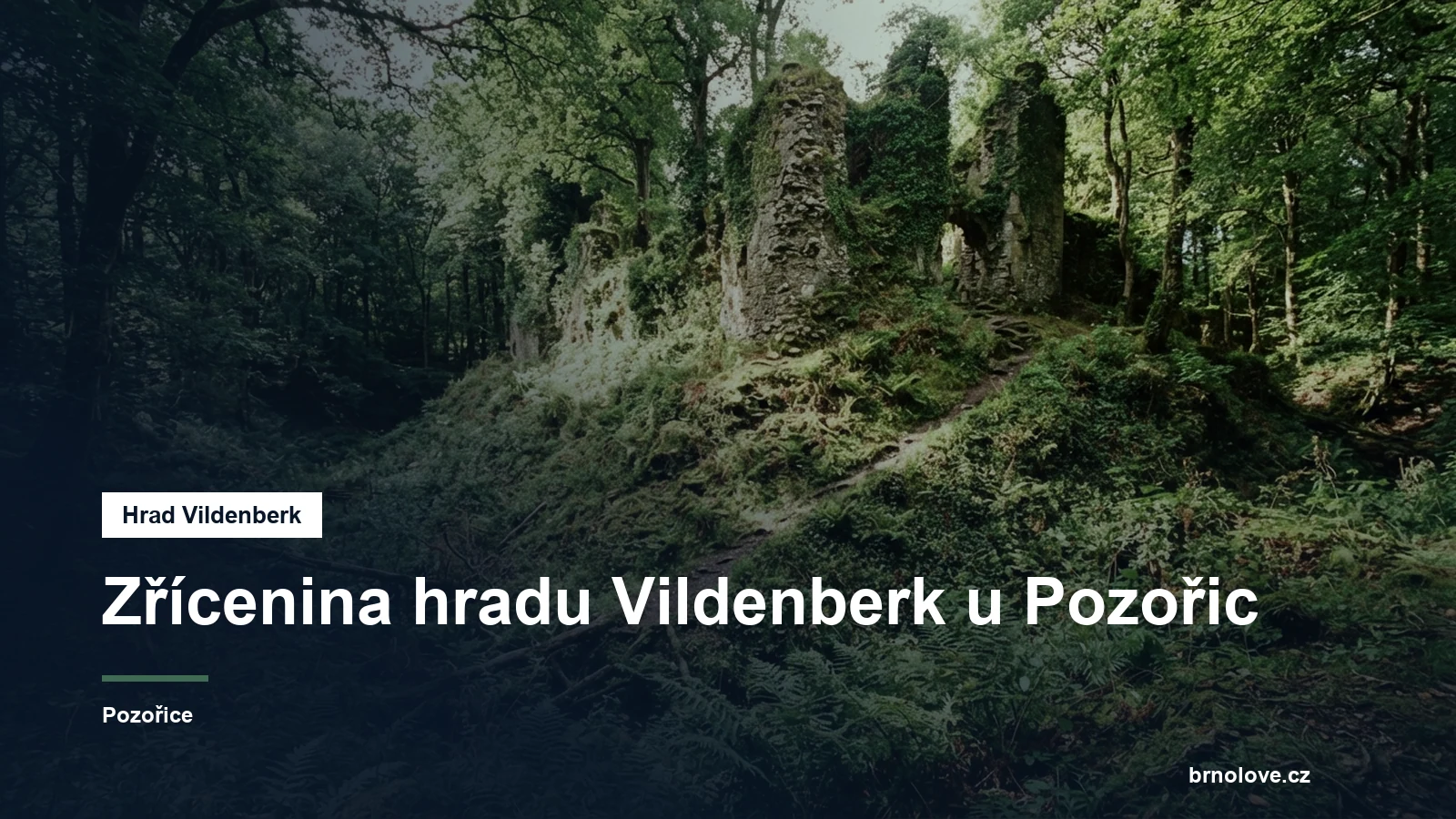 Terénní pozůstatky hradu v lese