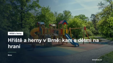 Dětské hřiště s prolézačkami v parku
