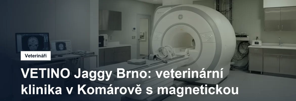 Vyšetřovna veterinární kliniky s přístrojem magnetické rezonance a posuvným vyšetřovacím stolem