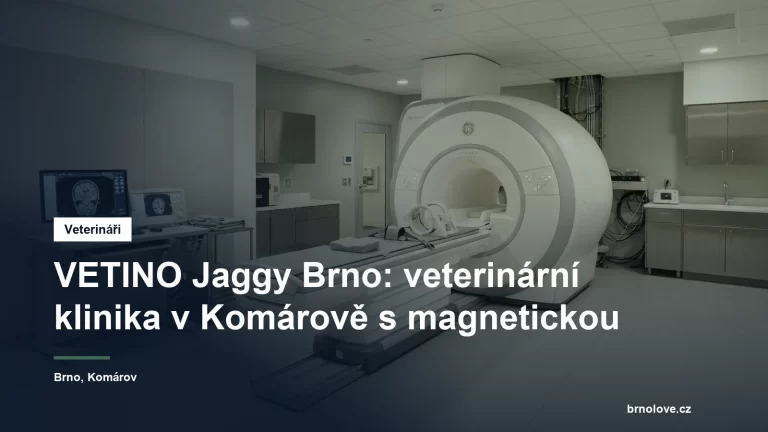 Vyšetřovna veterinární kliniky s přístrojem magnetické rezonance a posuvným vyšetřovacím stolem