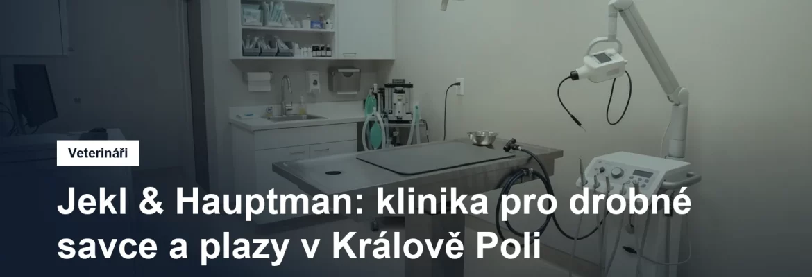 Vyšetřovna veterinární kliniky s rentgenovým přístrojem a stolem pro drobná zvířata