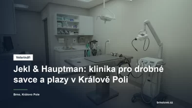 Vyšetřovna veterinární kliniky s rentgenovým přístrojem a stolem pro drobná zvířata