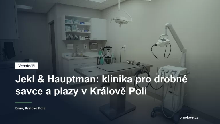 Vyšetřovna veterinární kliniky s rentgenovým přístrojem a stolem pro drobná zvířata