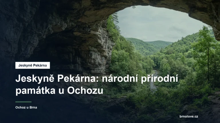 Skalní jeskyně v lese