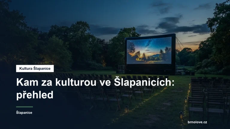 Letní kino v městském parku