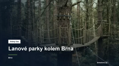 Lanová překážka v korunách stromů