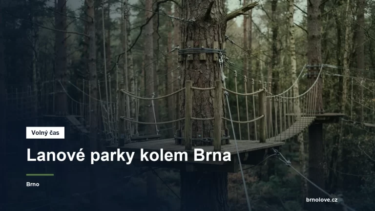 Lanová překážka v korunách stromů