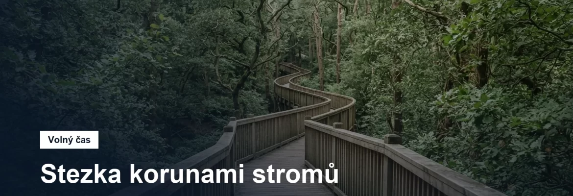 Dřevěný chodník mezi stromy