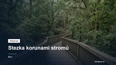 Dřevěný chodník mezi stromy
