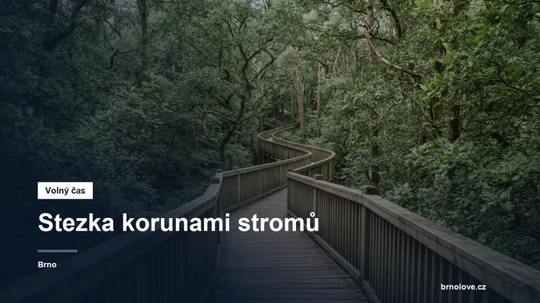Dřevěný chodník mezi stromy