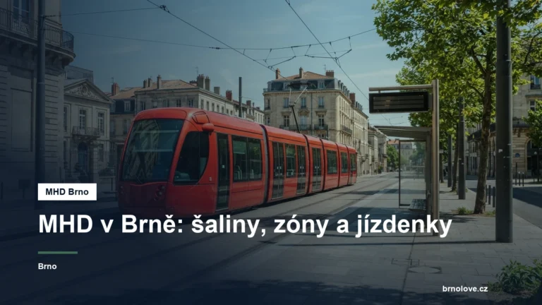 Tramvaj šalina na zastávce