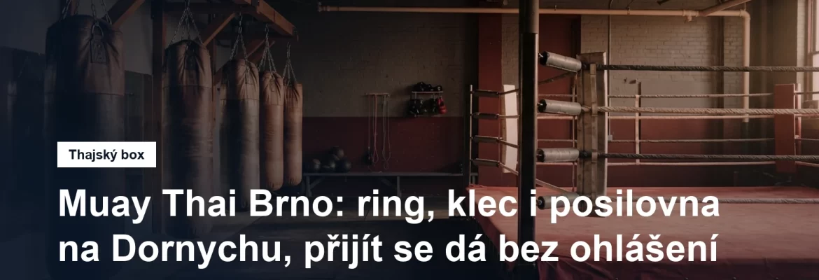 Boxerský ring a zavěšené pytle v tělocvičně pro bojové sporty, bez lidí