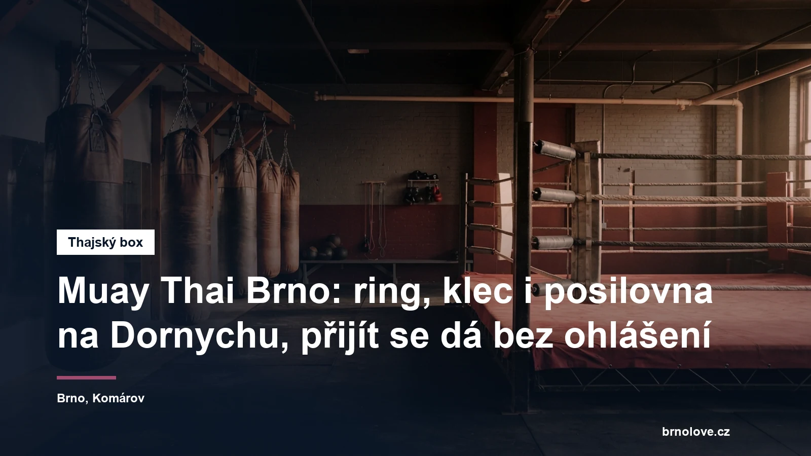 Boxerský ring a zavěšené pytle v tělocvičně pro bojové sporty, bez lidí