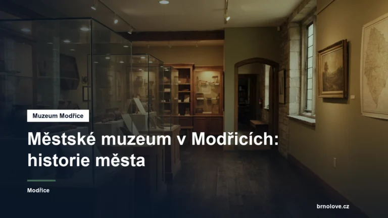 Muzejní expozice ve vitrínách
