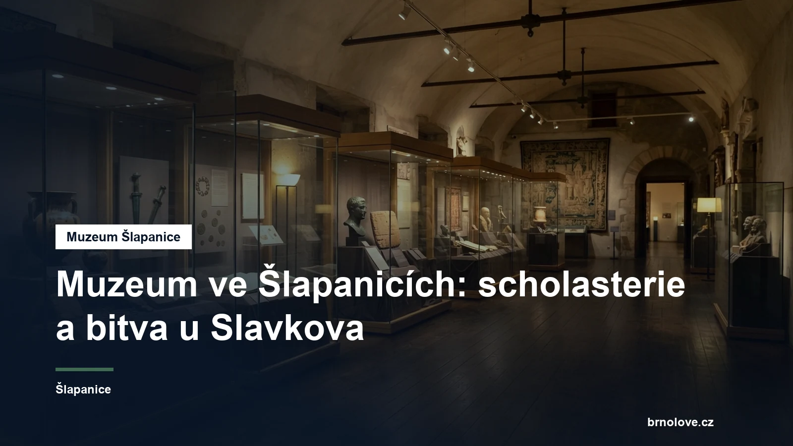 Muzejní expozice ve vitrínách