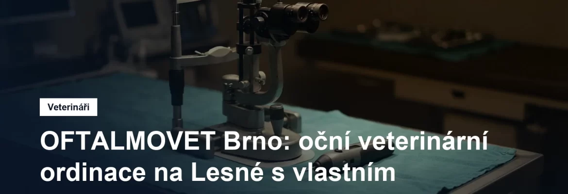 Veterinární lékařka vyšetřuje oko psa štěrbinovou lampou v zatemněné ordinaci