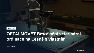 Veterinární lékařka vyšetřuje oko psa štěrbinovou lampou v zatemněné ordinaci
