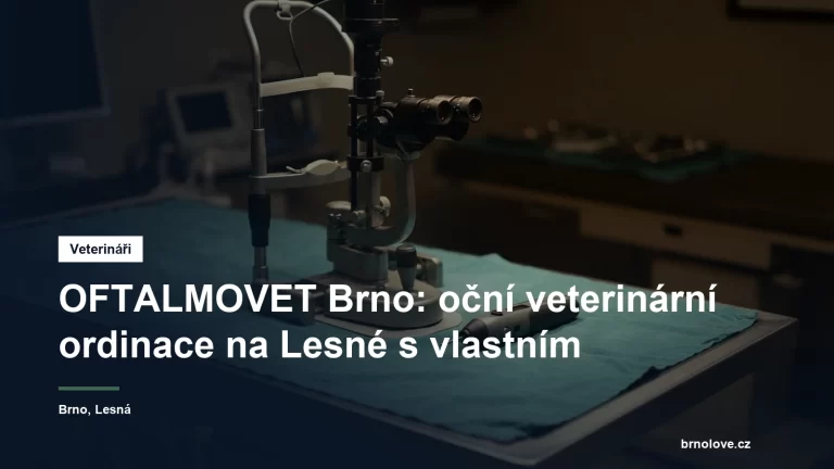Veterinární lékařka vyšetřuje oko psa štěrbinovou lampou v zatemněné ordinaci