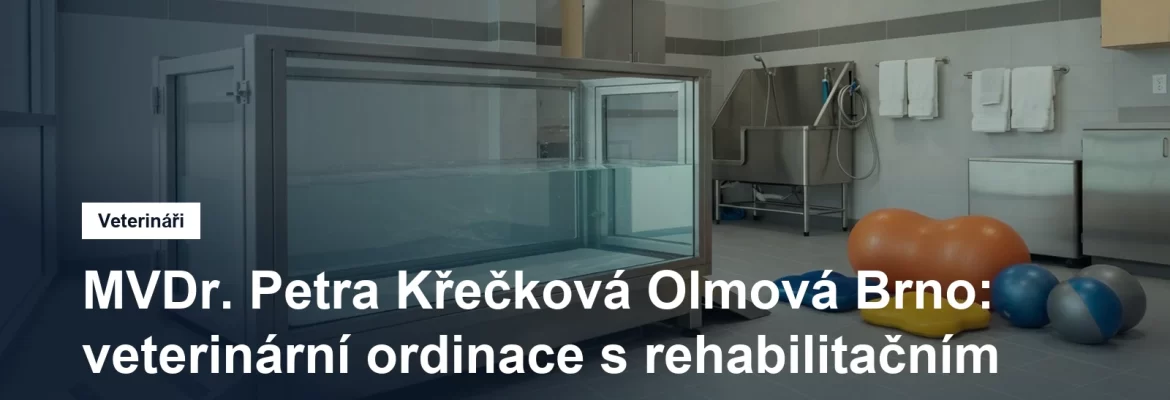 Podvodní běžecký pás pro psy a vybavení veterinární rehabilitace