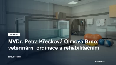 Podvodní běžecký pás pro psy a vybavení veterinární rehabilitace