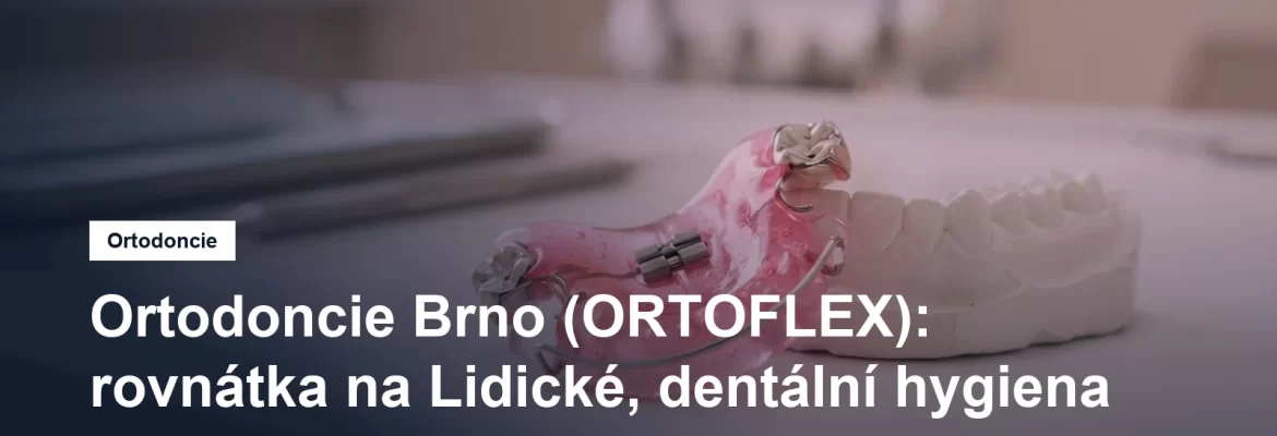 Snímací ortodontický aparát s barevnou deskou položený vedle modelu chrupu na stolku ordinace