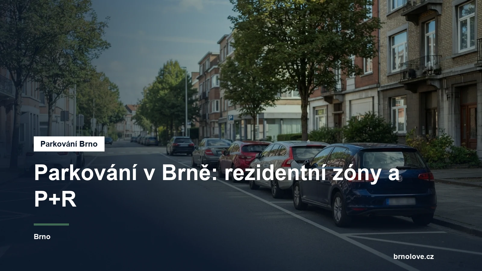Zaparkovaná auta v ulici s modrou zónou