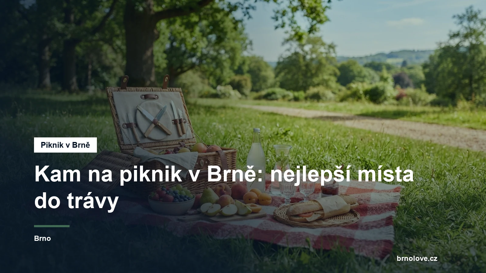 Pikniková deka s košem v parku