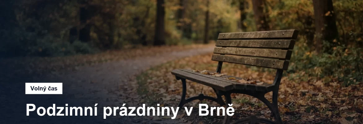Prázdná lavička v podzimním parku
