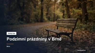 Prázdná lavička v podzimním parku