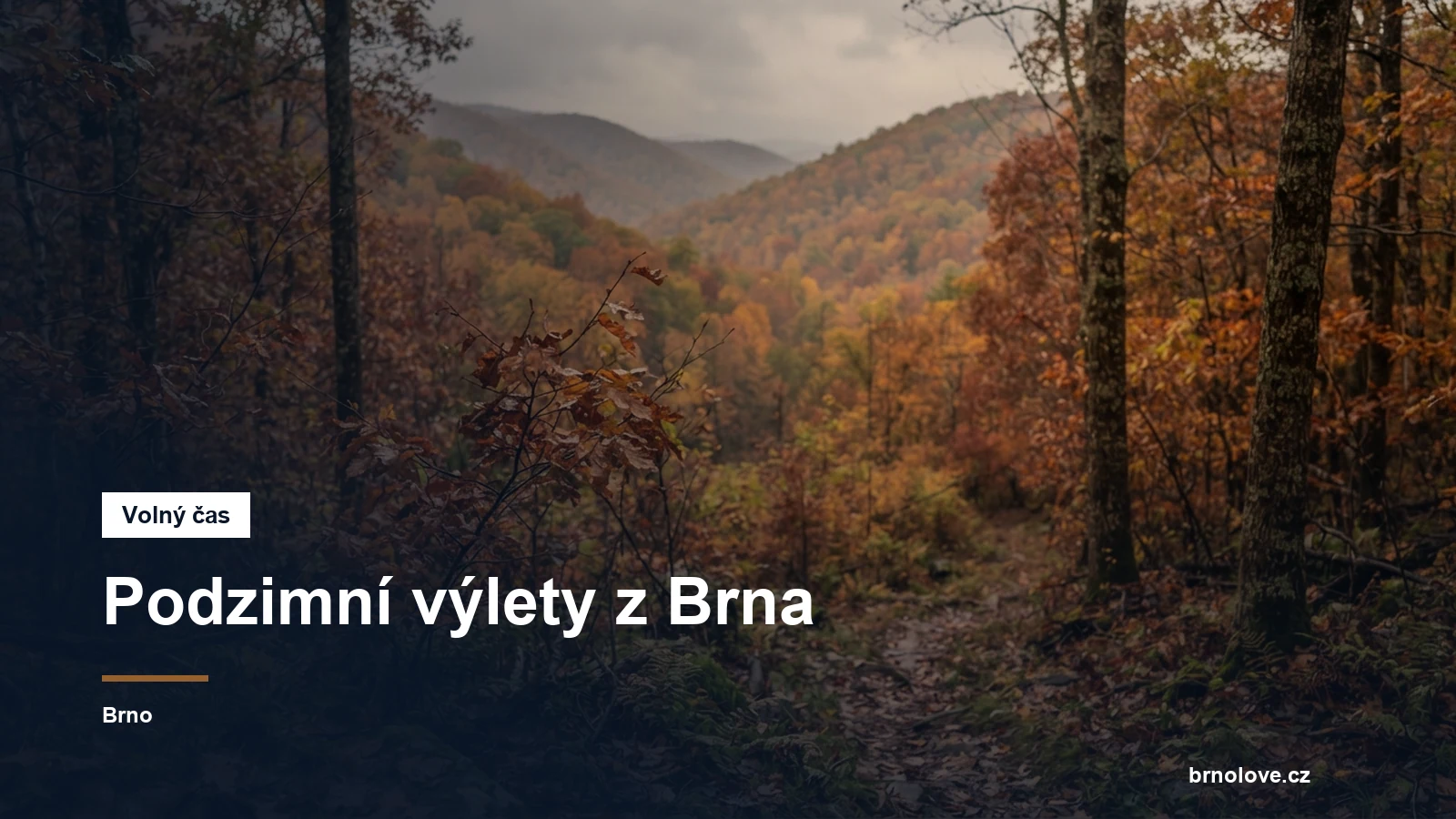 Barevný listnatý les nad údolím