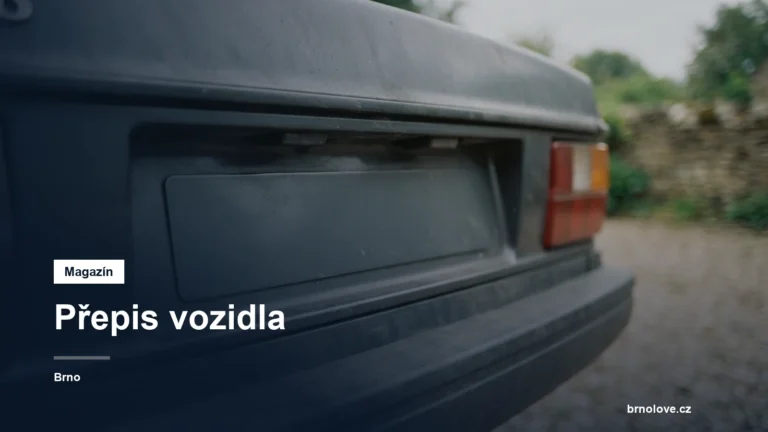 Registrační značka auta