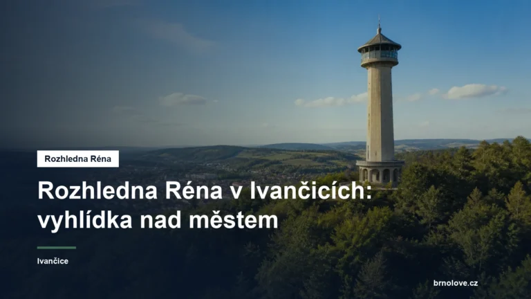 Rozhledna na zalesněném vrchu