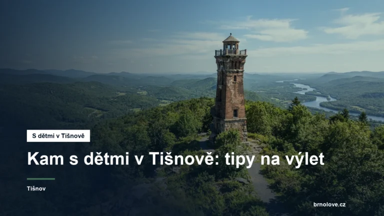 Vyhlídková rozhledna na zalesněném kopci