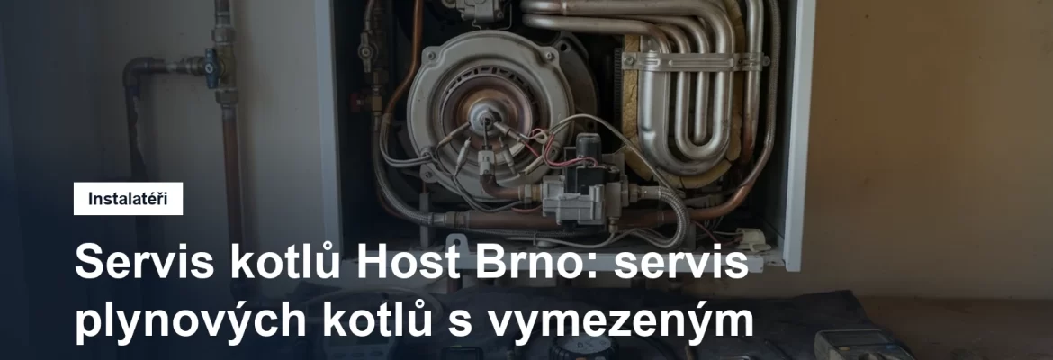 Detail otevřeného plynového kondenzačního kotle s hořákem a výměníkem během servisní prohlídky