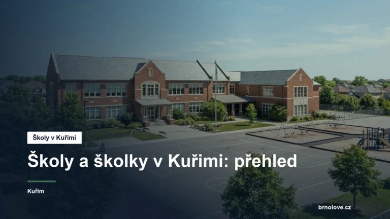 Budova školy s hřištěm