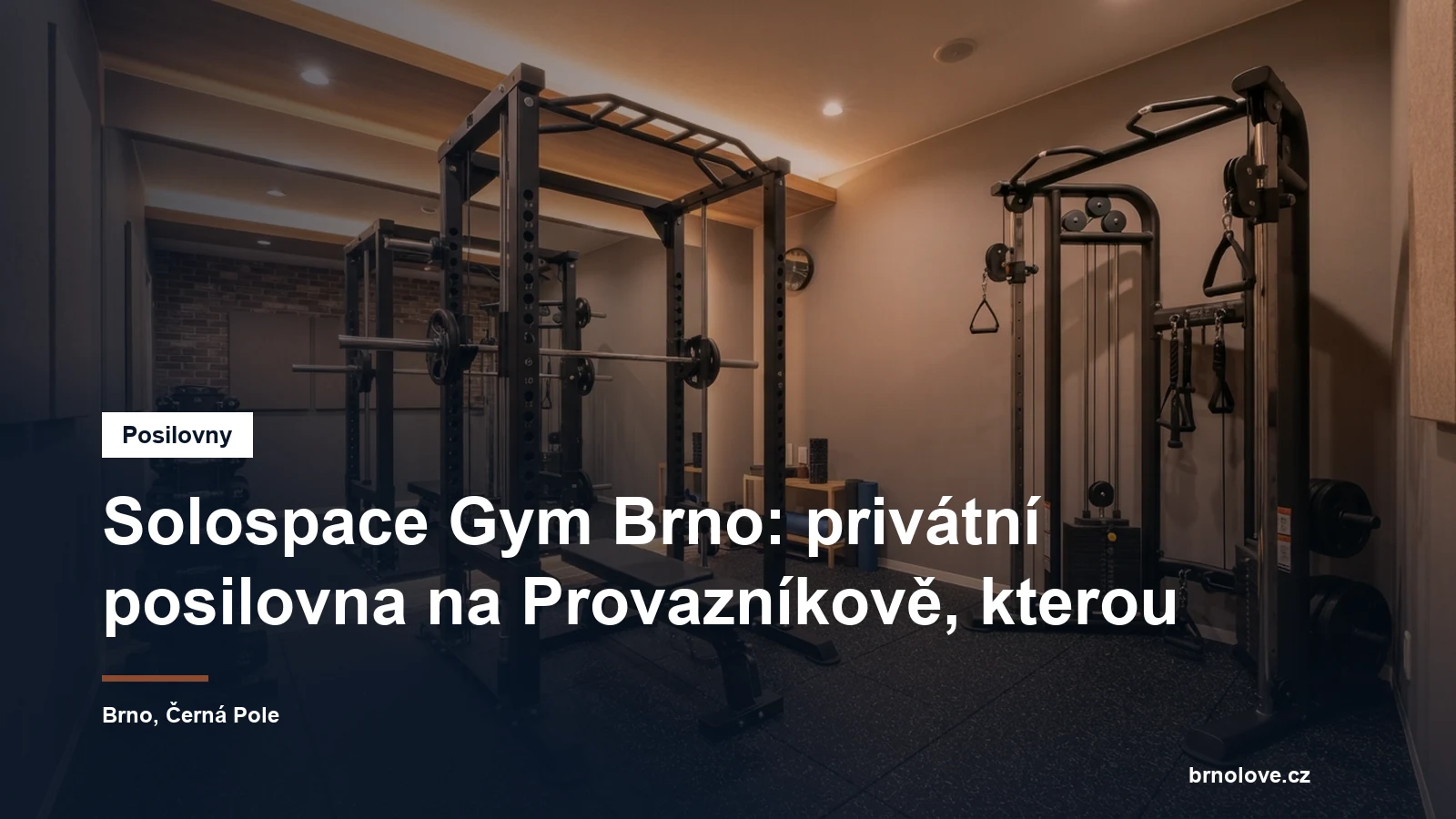 Malá privátní posilovna se silovou klecí, kladkovým strojem a gumovou podlahou