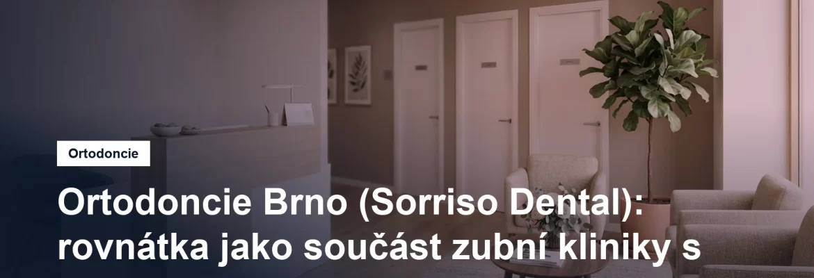 Recepce zubní kliniky s pultem a čekárnou, v pozadí dveře do ordinací a rostlina u okna