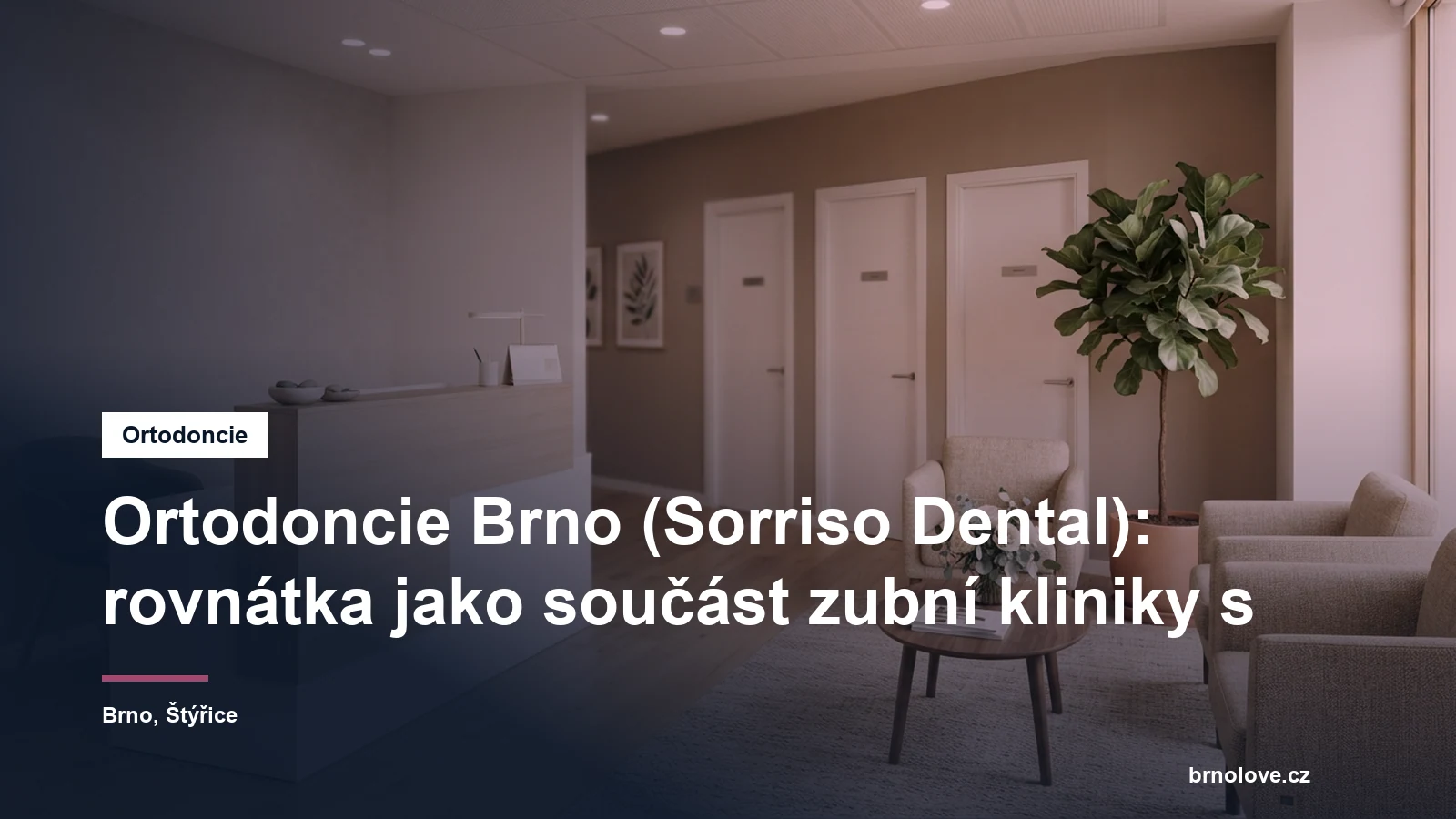 Recepce zubní kliniky s pultem a čekárnou, v pozadí dveře do ordinací a rostlina u okna