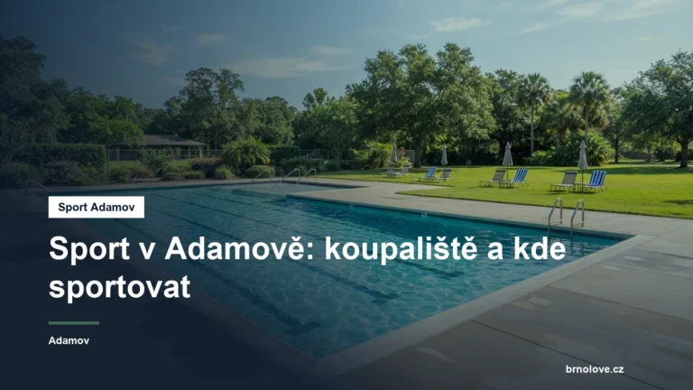 Venkovní koupaliště v létě