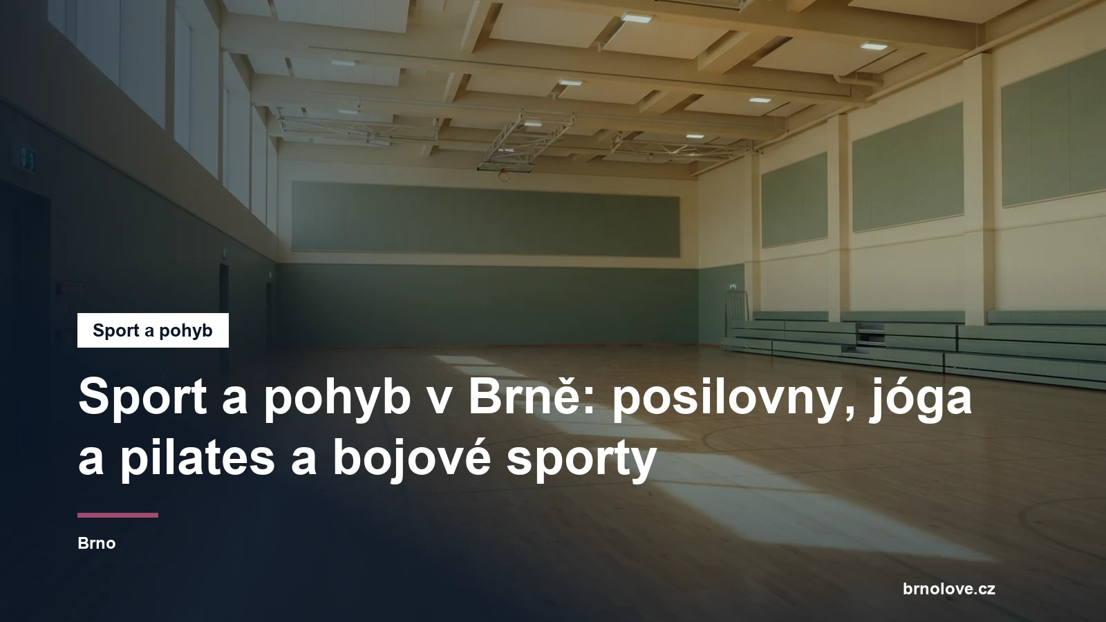 Prázdná tělocvična s dřevěnou podlahou a pruhem denního světla, bez lidí
