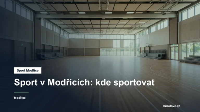 Městská sportovní hala