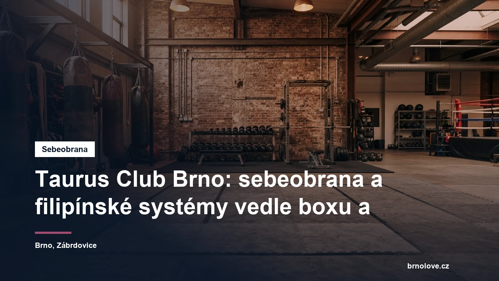 Tělocvična pro bojové sporty s žíněnkou a činkami v pozadí, bez lidí