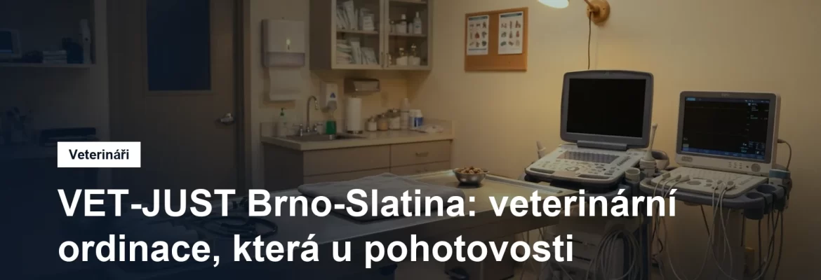 Veterinární ordinace s vyšetřovacím stolem, ultrazvukem a EKG přístrojem ve večerním osvětlení